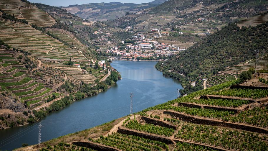 Can The Douro Valley find success in unfortified white wines?